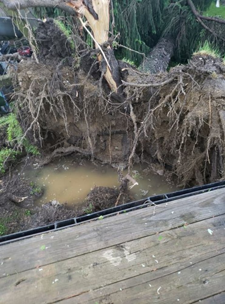 PHOTOS: Daylight reveals widespread damage from Monday storms