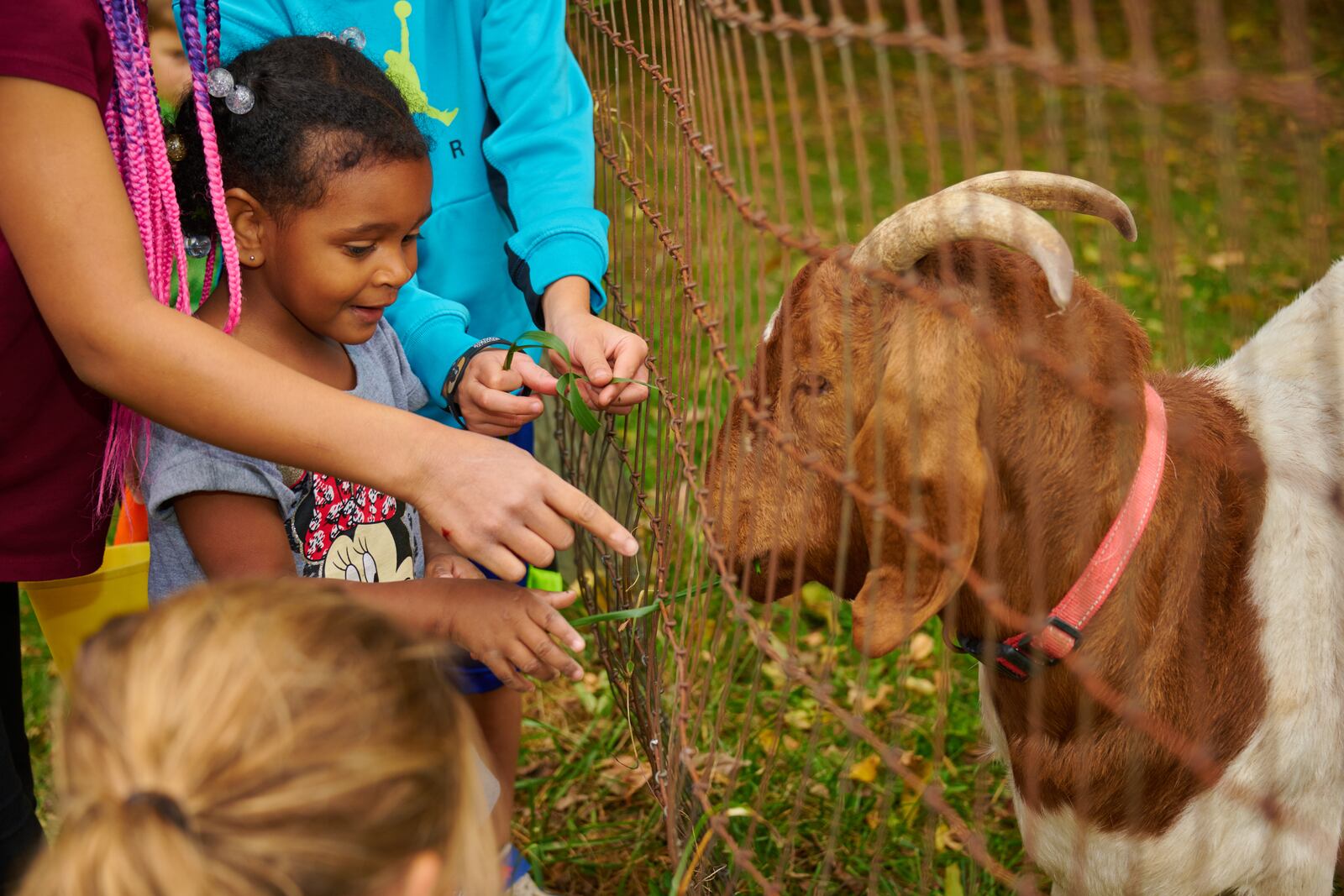 Hands-on learning is part of the fun of the MetroParks summer programs - CONTRIBUTED