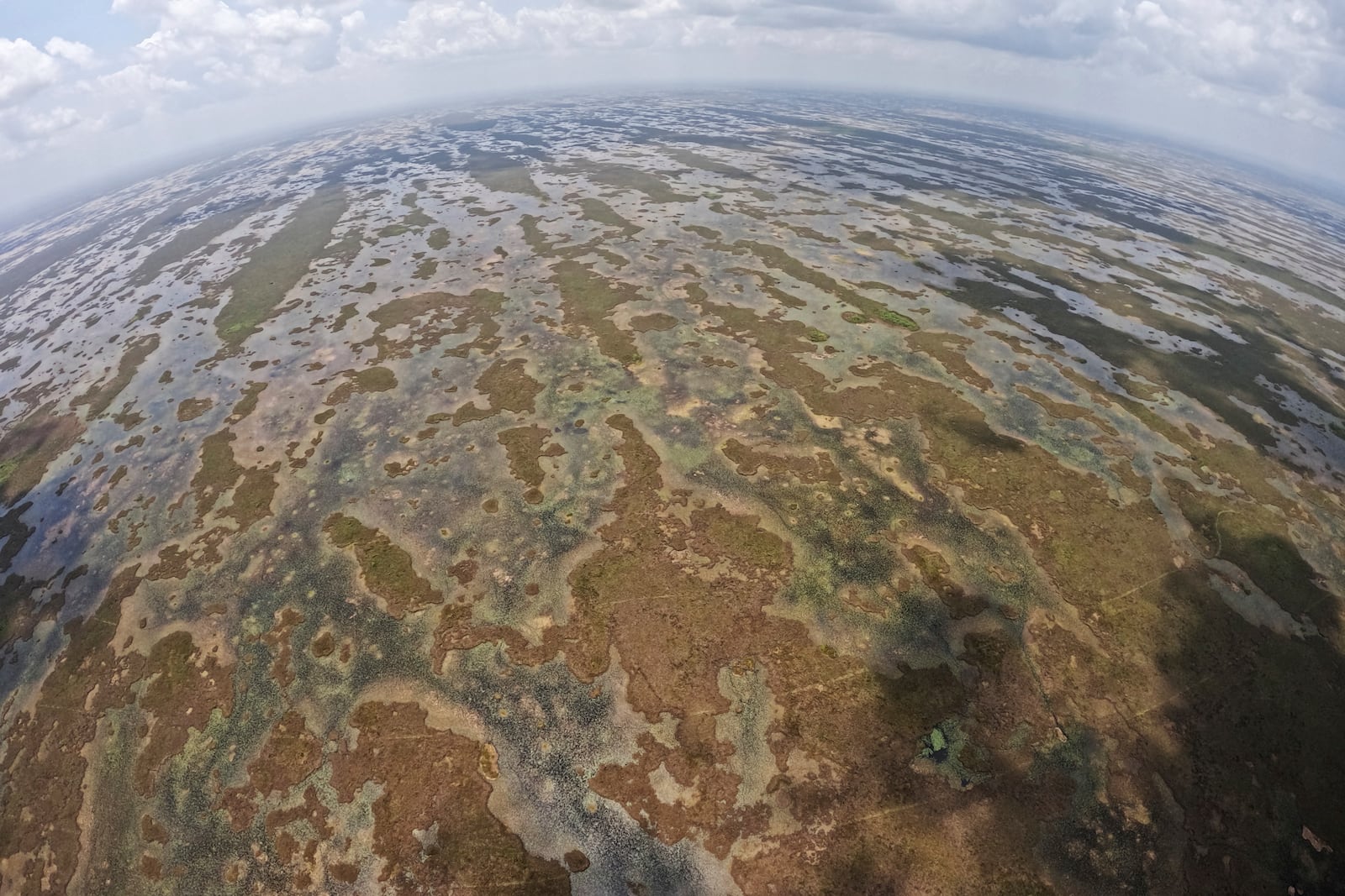 Florida's Everglades are seen from the air during a flight donated by LightHawk, Friday, May 17, 2024. (AP Photo/Rebecca Blackwell)