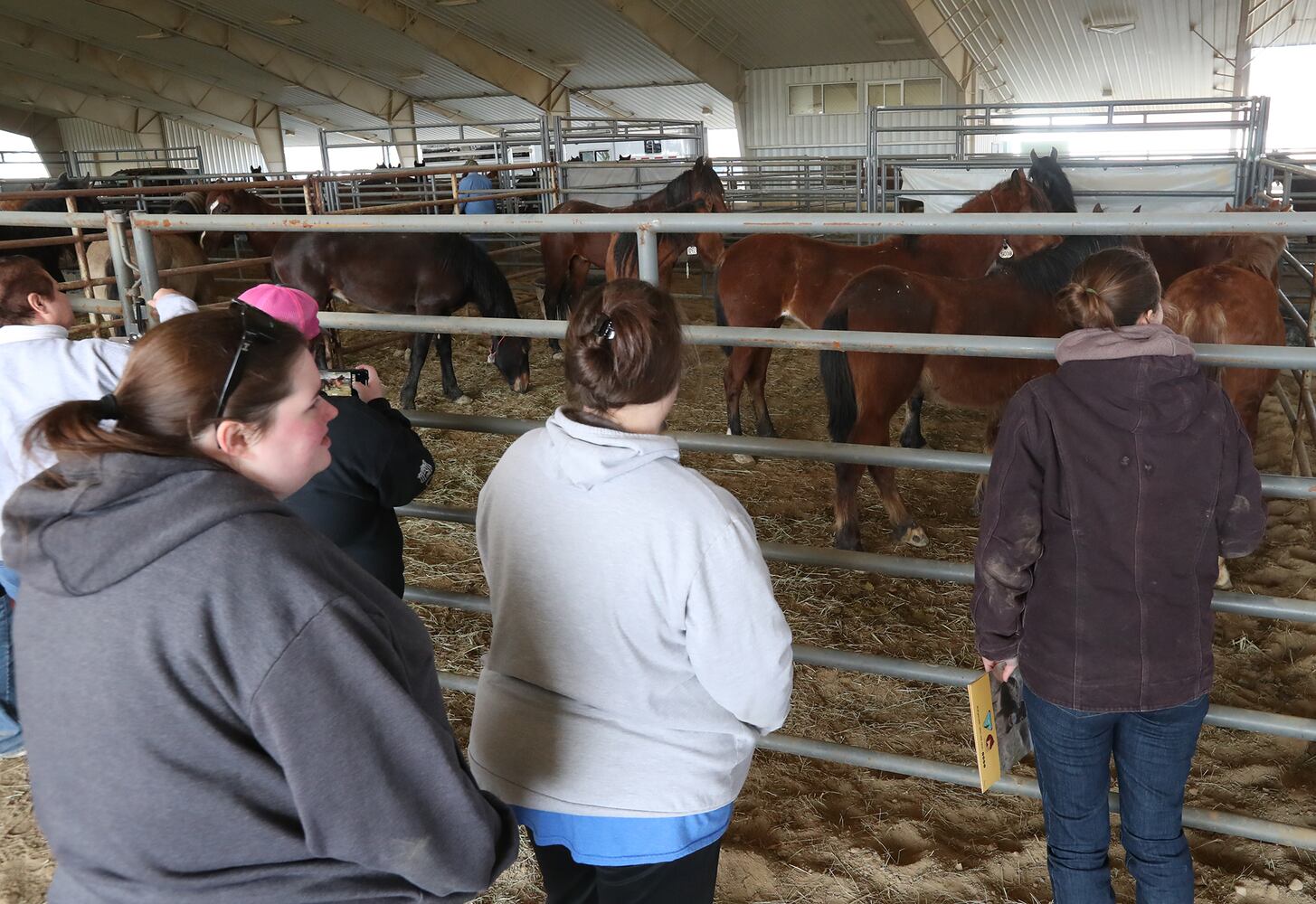 PHOTOS:  Wild Horse and Burro Adoption