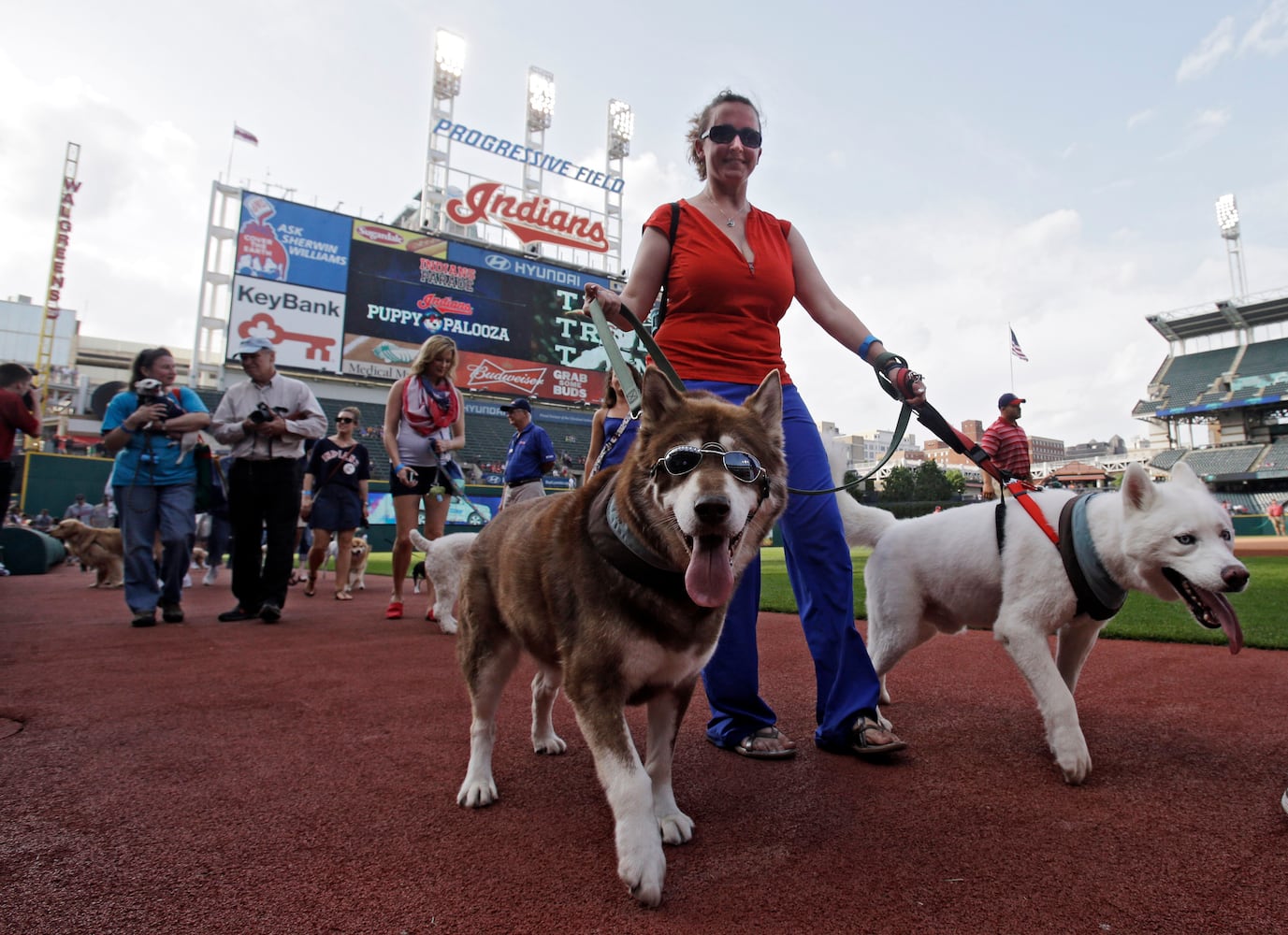 News hounds (6/19/2014)