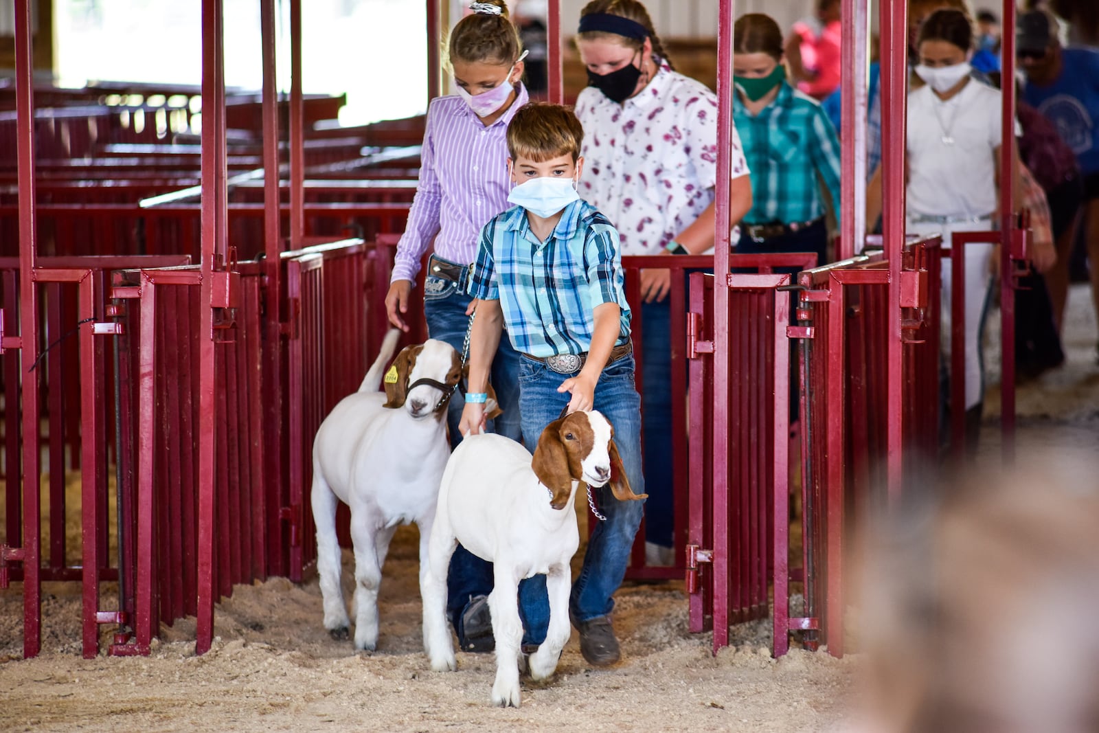 Scenes from the Butler County Fair Tuesday, July 28, 2020 in Hamilton. NICK GRAHAM / STAFF