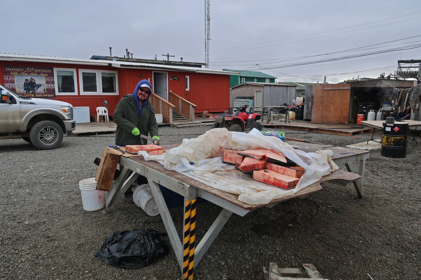 Captain Frederick Brower processing his parts of the whale he and his crew caught off Point Barrow Alaska. (CONTRIBUTED)