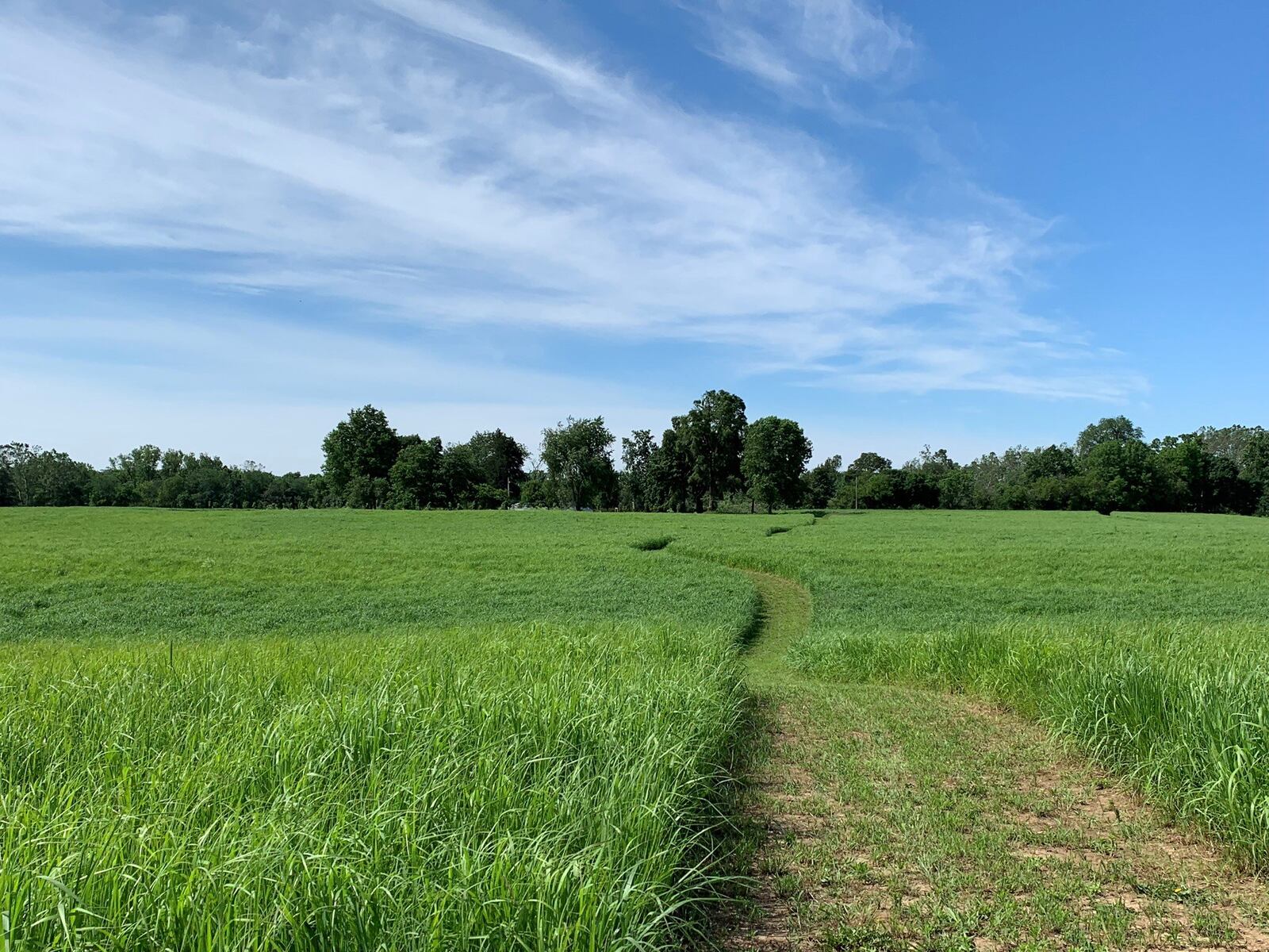 Kirby Preserve at Old Reid Park offers a tranquil place to connect with nature and spot wildlife amid the ponds and grasses. Source: Photo courtesy of Brad Boyer/National Trail Parks and Recreation District.