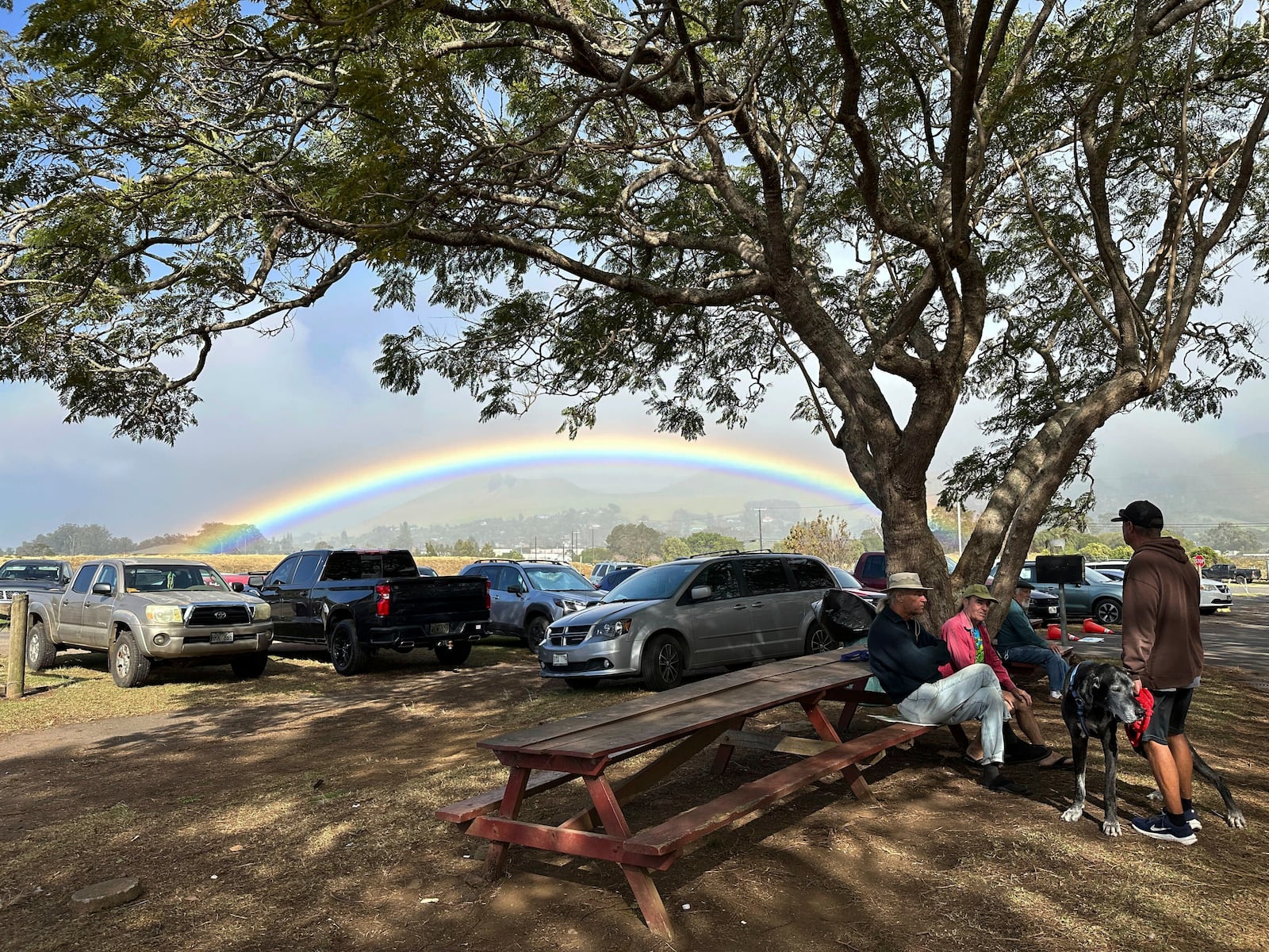 People gather outside a farmers market while a rainbow appears in the background in Kamuela, Hawaii, on Dec. 11, 2024. (AP Photo/ Audrey McAvoy)