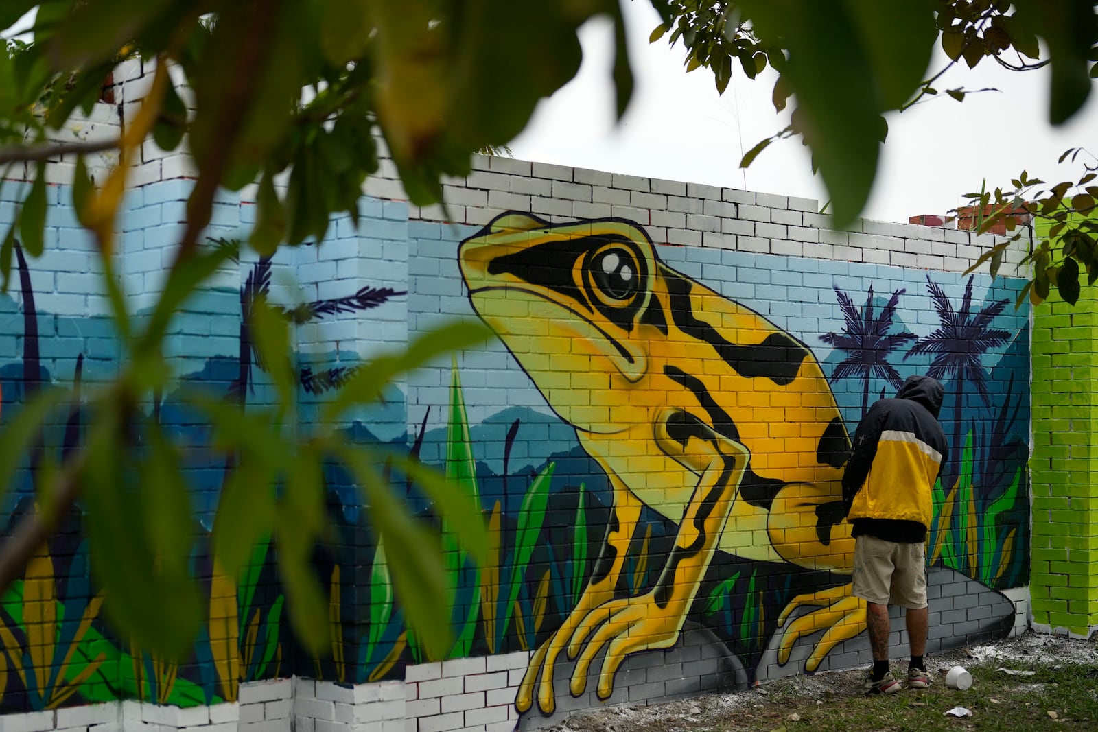 An artist puts the finishing touches on a mural a day ahead of the COP16 United Nations biodiversity conference, in host city Cali, Colombia, Saturday, Oct. 19, 2024. (AP Photo/Fernando Vergara)