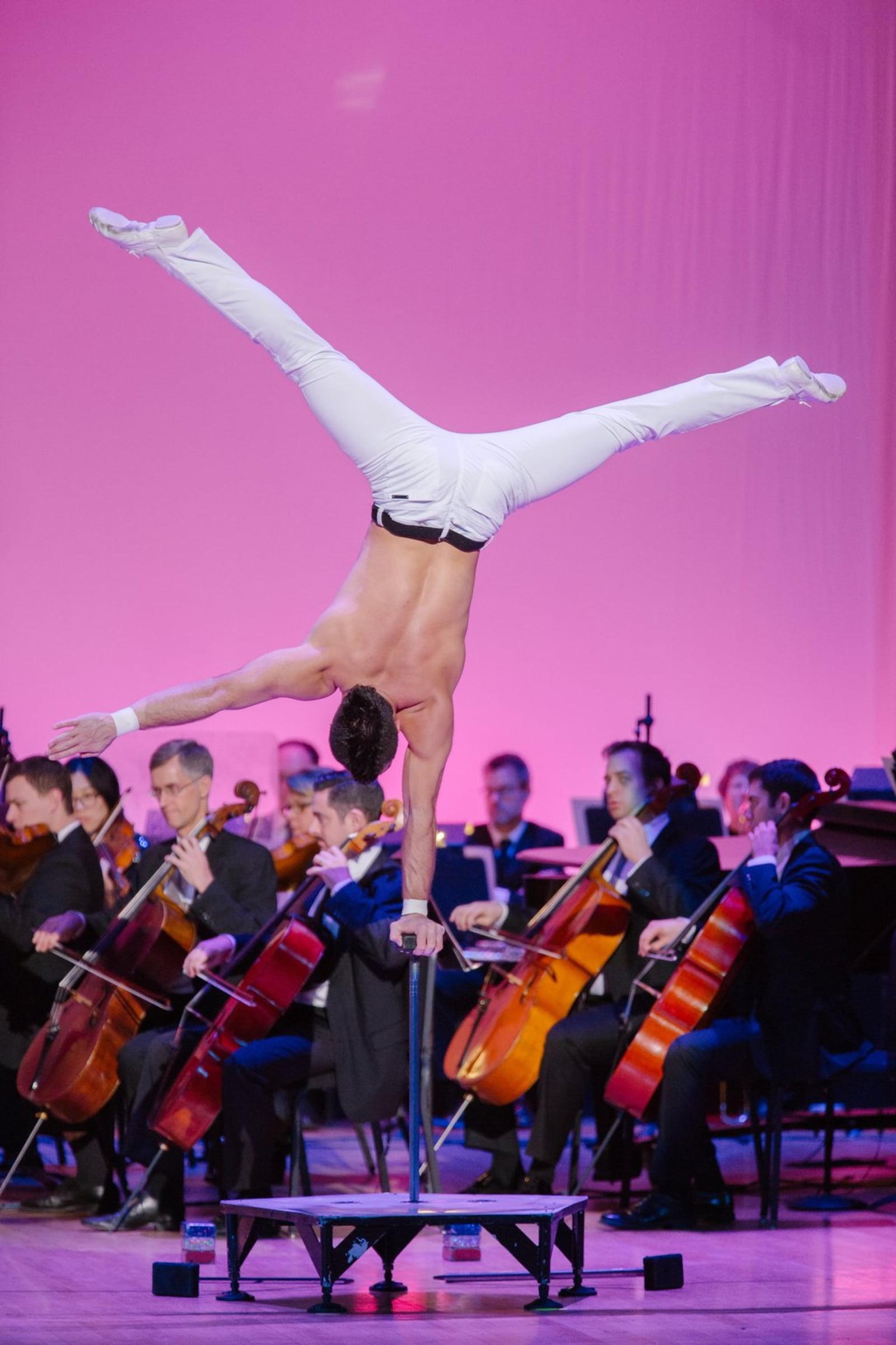 The Dayton Philharmonic Orchestra will be joined by performers from Cirque Musica for “Crescendo” at the Schuster Center in Dayton on Friday and Saturday, Jan. 25 and 26. CONTRIBUTED