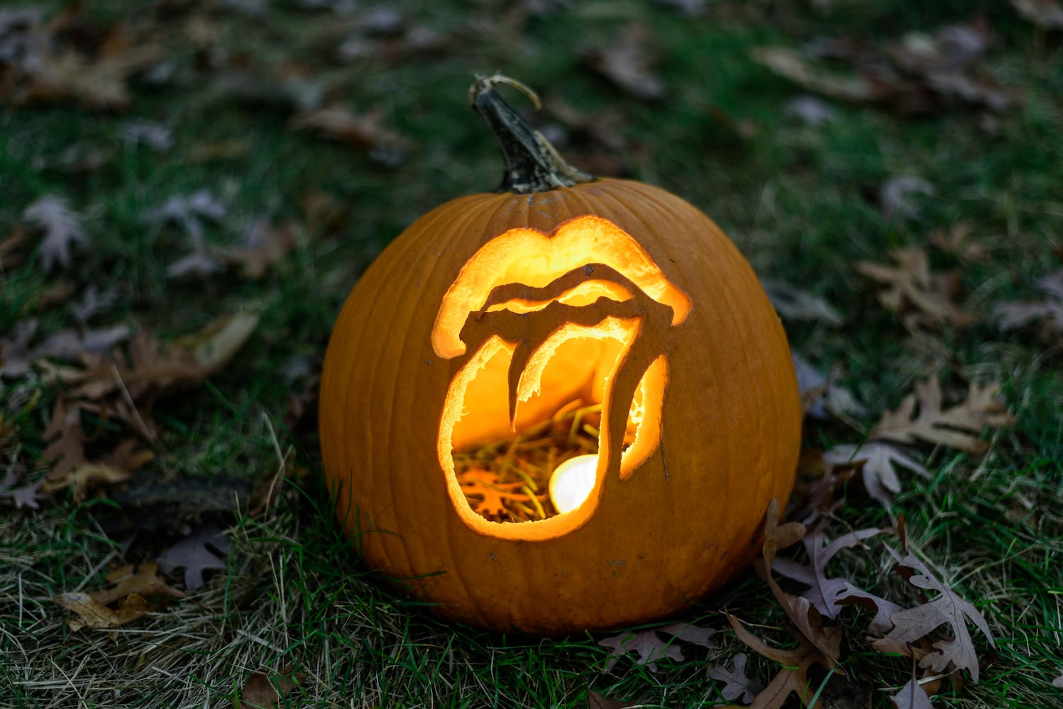 PHOTOS: The Stoddard Avenue Pumpkin Glow Night 1