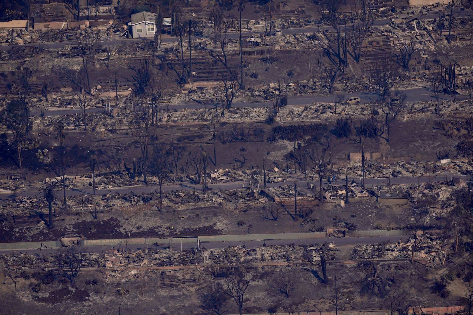 The devastation from the Palisades Fire is seen from the air in the Pacific Palisades neighborhood of Los Angeles, Thursday, Jan. 9, 2025. (AP Photo/Mark J. Terrill)