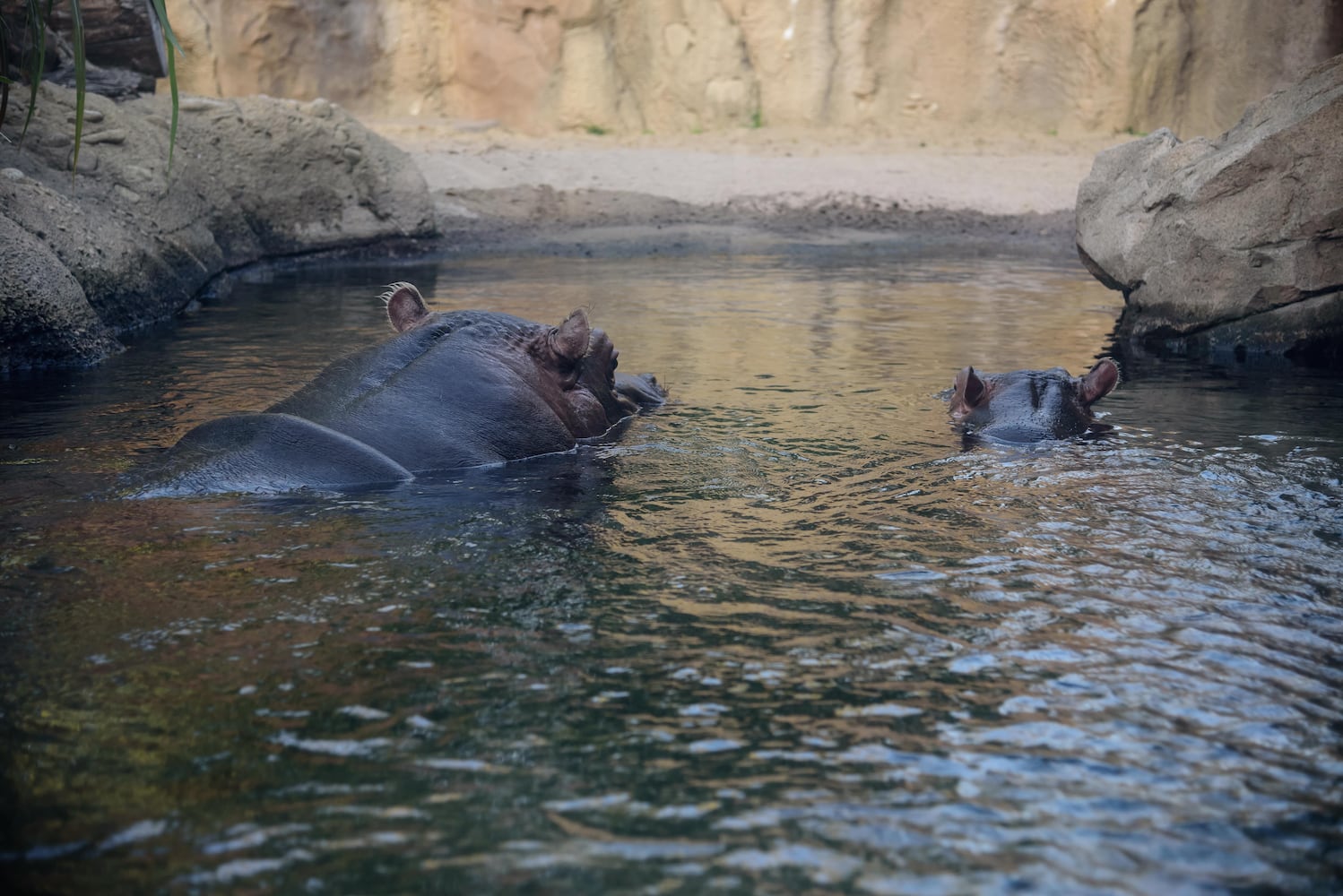 BEHIND THE SCENES: Take a look at what Fiona and Bibi are up to after hours