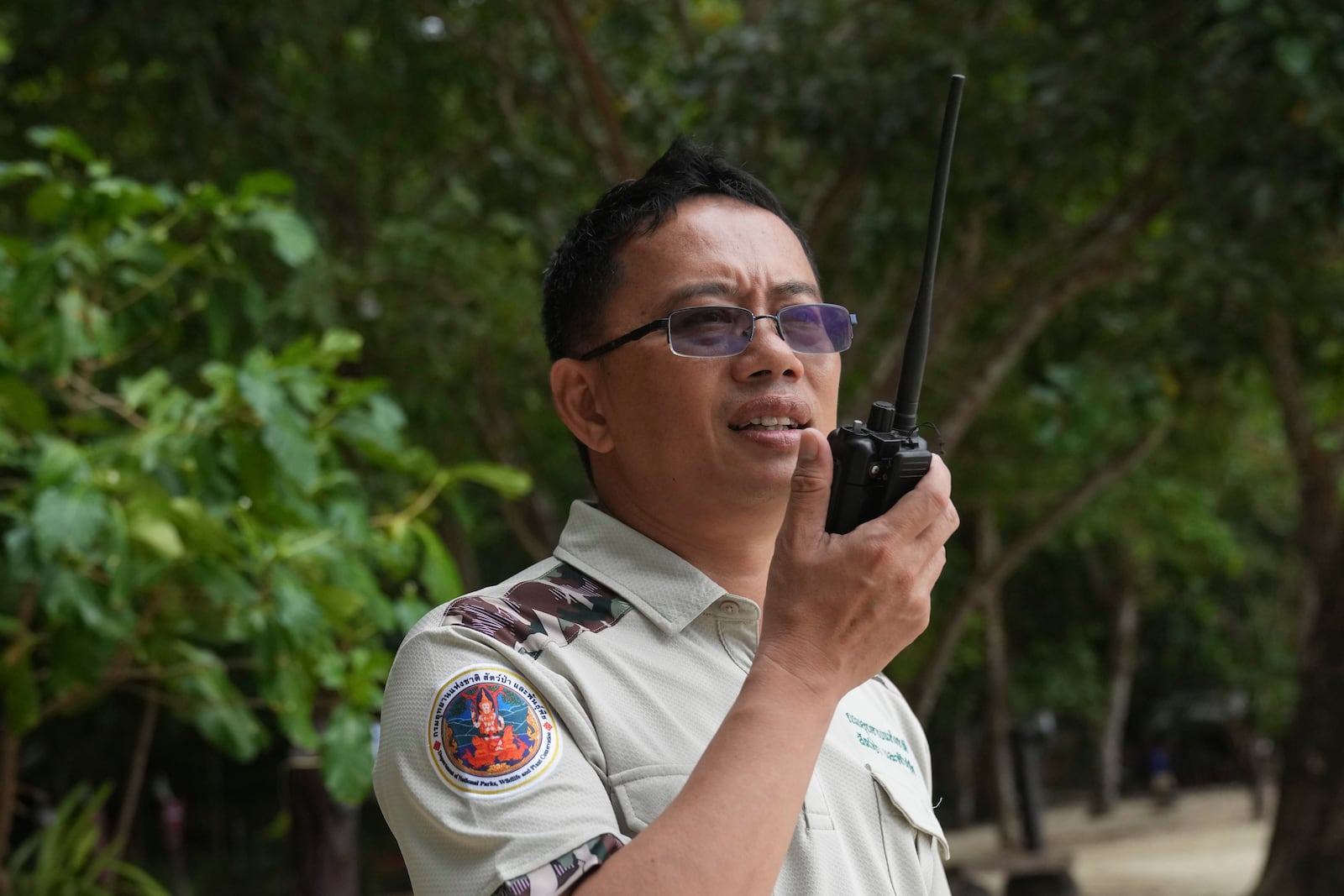 Chief of Surin national park Kriengkrai Pohcharoen speaks on walkie-talkie to his staff at Surin Islands in Phang Nga Province, Thailand, Friday, Dec. 13, 2024. (AP Photo/Sakchai Lalit)