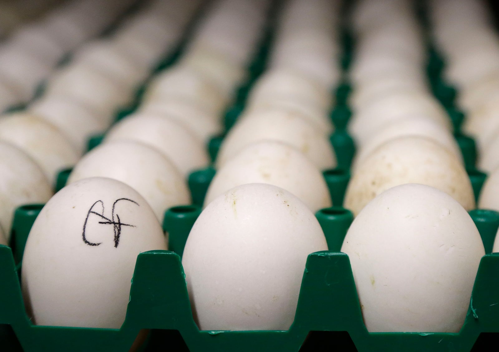 FILE - Duck eggs sit in a cooler at Crescent Duck Farm, in Aquebogue, N.Y., Oct. 29, 2014. (AP Photo/Julie Jacobson, File)