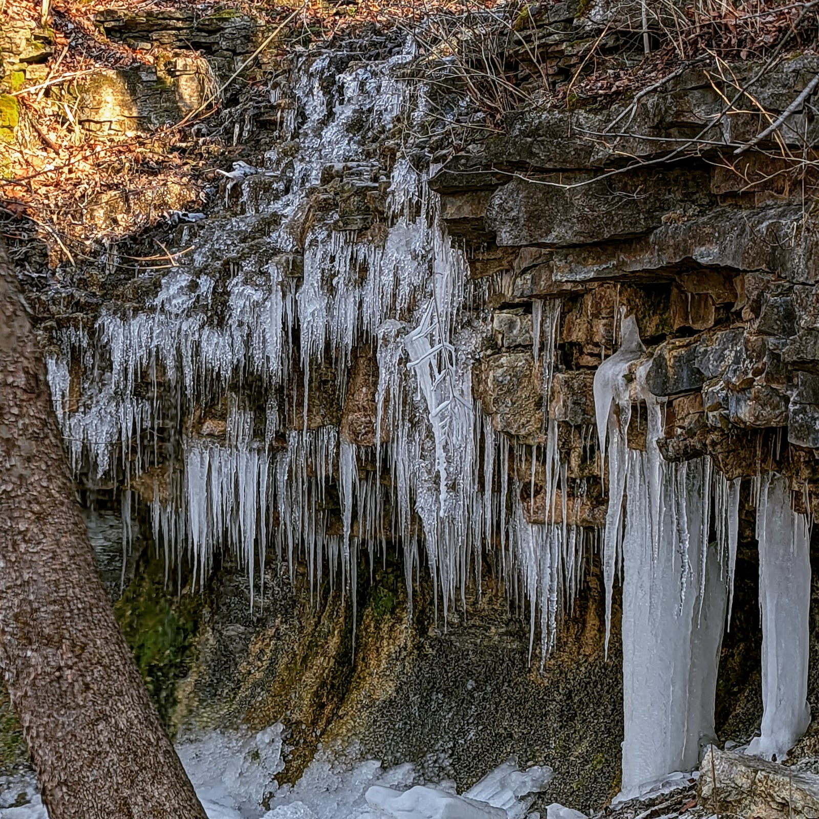 Winter hikes offer unique sights and perspectives - CONTRIBUTED