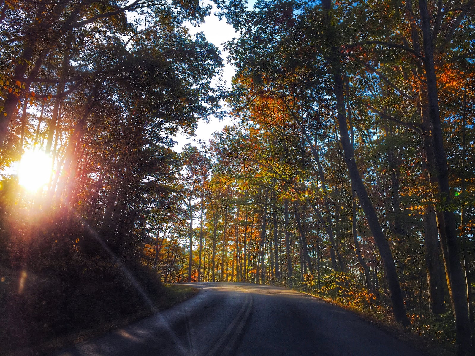 One of the prettiest drives in this region of the country is along the Scenic Byway in Red River Gorge inside Daniel Boone National Forest in Kentucky.