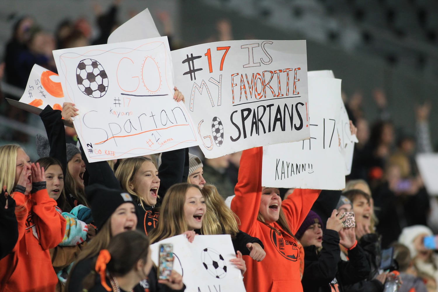 Waynesville wins state championship