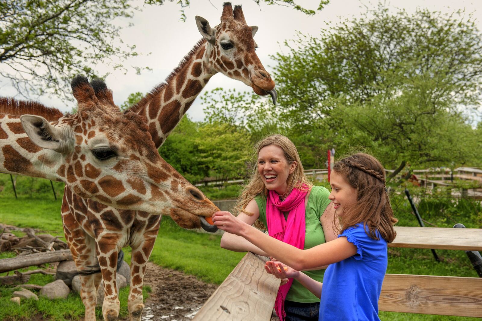 The Indianapolis Zoo, located in downtown’s White River State Park, was the first attraction to be triple-accredited as a zoo, aquarium and botanical garden. CONTRIBUTED