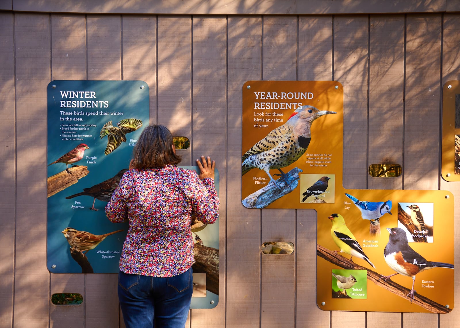 The new MetroParks Birding Challenge is designed for birding enthusiasts of all ages and experience levels - CONTRIBUTED