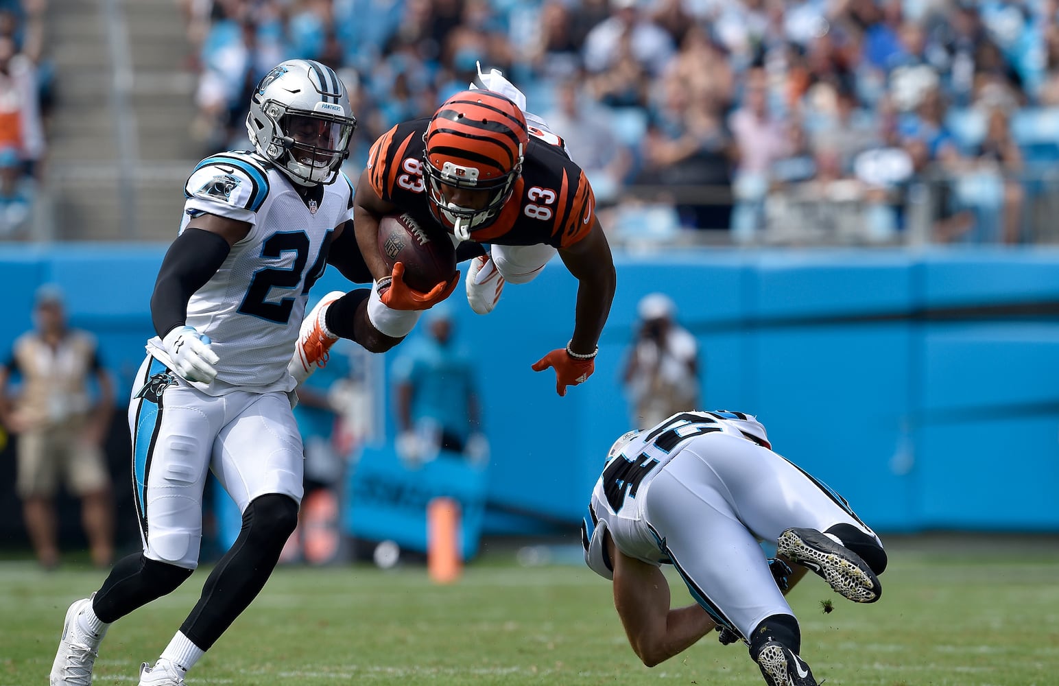 PHOTOS: Cincinnati Bengals vs. Carolina Panthers