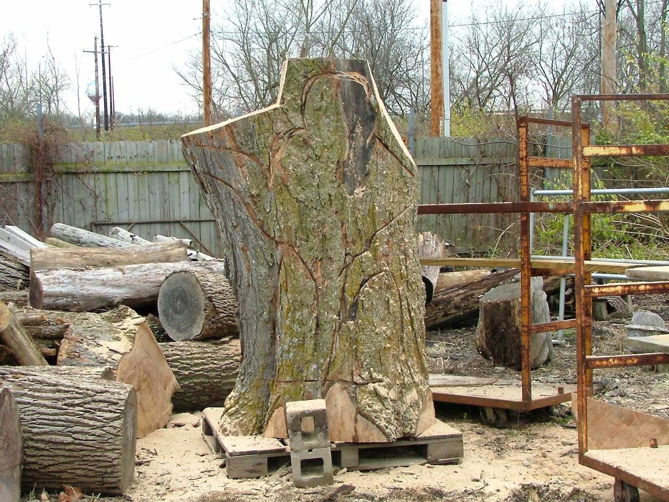 Beavercreek Beaver statues