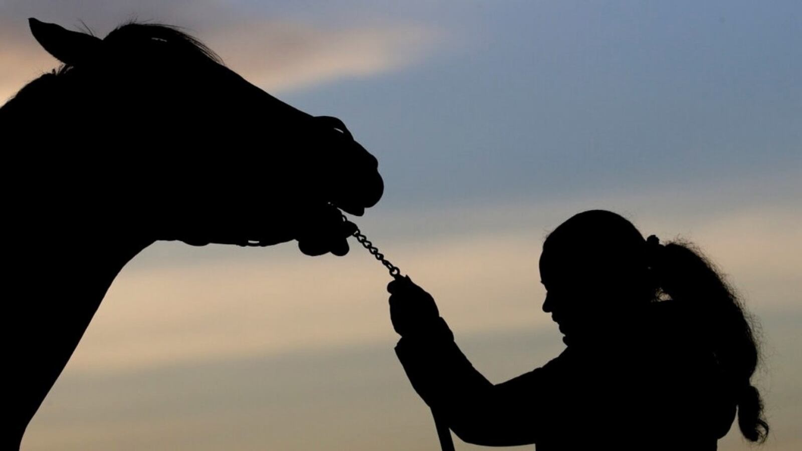 Kentucky Derby hopeful Game Winner is held by a stable worker while getting a bath after a workout at Churchill Downs Monday, April 29, 2019, in Louisville, Ky. The 145th running of the Kentucky Derby is scheduled for Saturday, May 4.