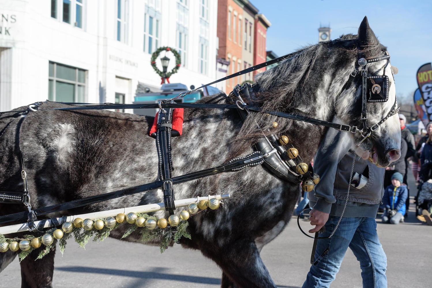 PHOTOS: 35th annual Lebanon Horse-Drawn Carriage Parade & Festival