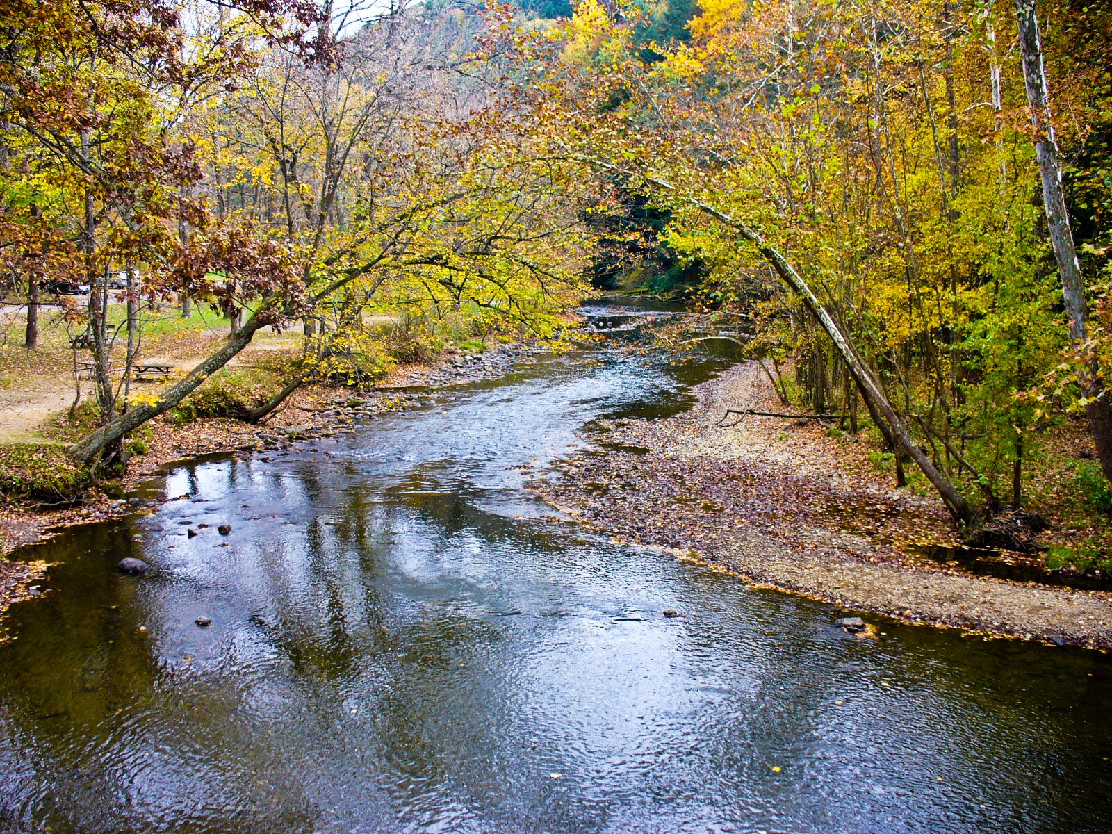 Fall Foliage at Mohican State Park