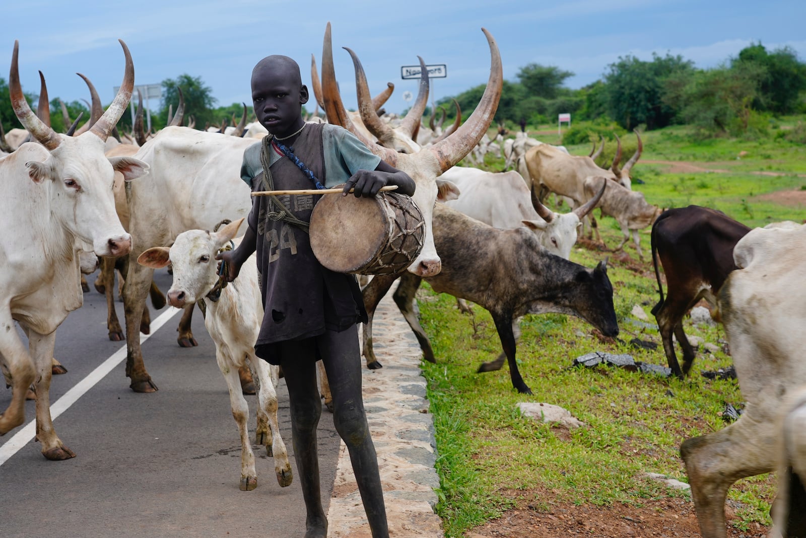 A young person tends to the animals in a community where there was Guinea worm in Jarweng, South Sudan, on May 13, 2023. The Carter Center's staff and volunteers walked house-to-house in the community to raise awareness of the Guinea worm in the area. (AP Photo/Sam Mednick)