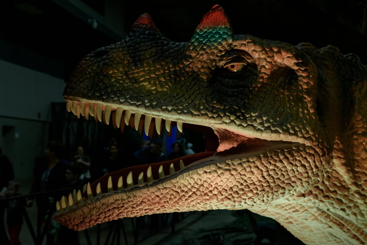 PHOTOS: Did we spot you hanging out with dinosaurs at Jurassic Quest at the Dayton Convention Center?