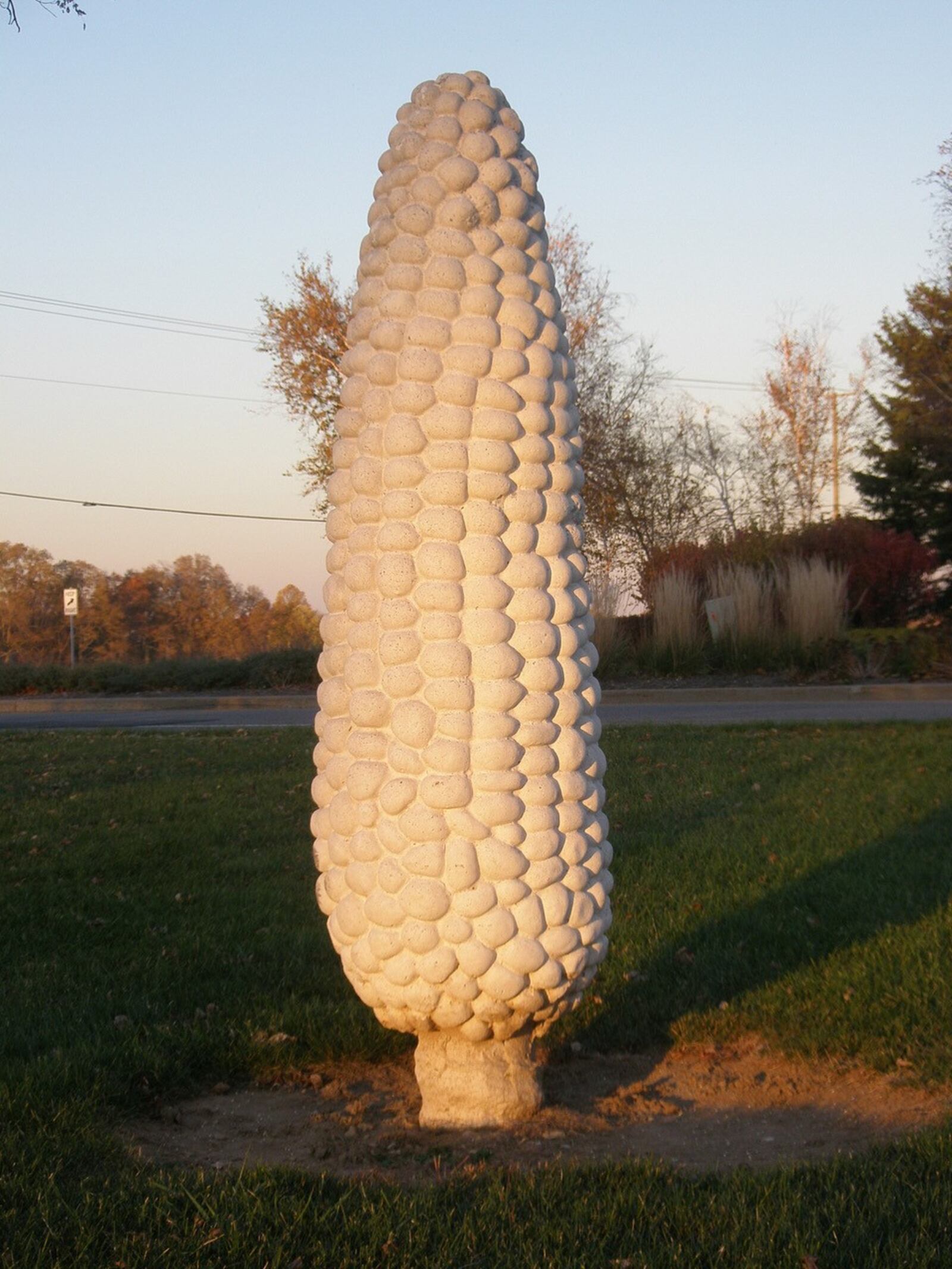 The Field of Corn, or "Cornhenge," exhibit in Dublin, Ohio, features 109 ears of corn arranged in a circle.