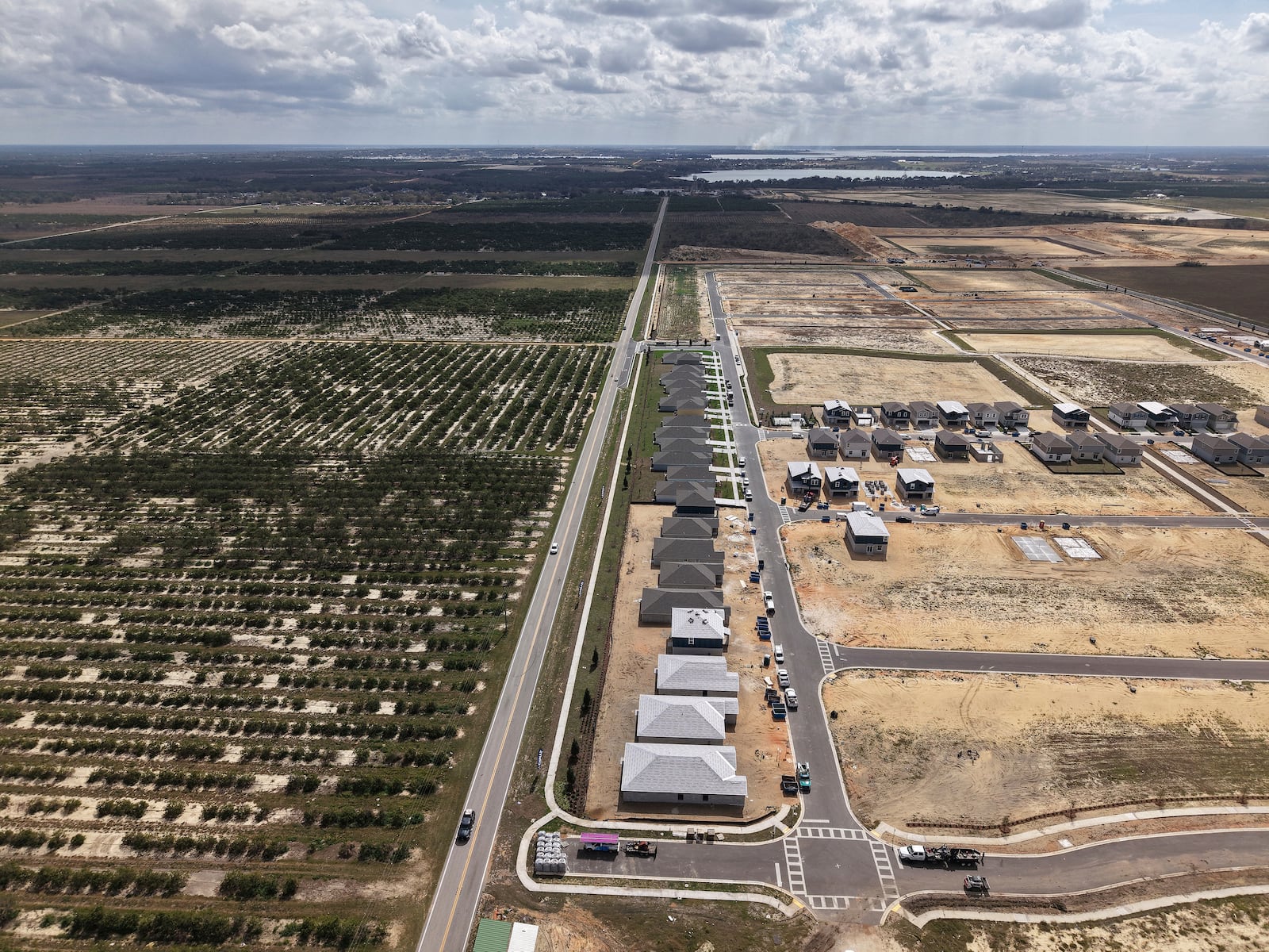 New homes are under construction in former citrus groves, Tuesday, Feb. 18, 2025, in Lake Wales, Fla. Many growers are selling their citrus groves after years of hurricanes, freezes and the devastating effects of citrus greening. (AP Photo/Daniel Kozin)