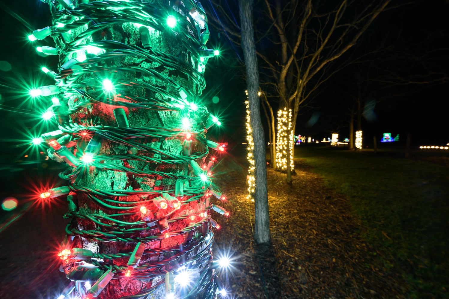 PHOTOS: 2024 Holiday Lights at Lost Creek Reserve in Troy