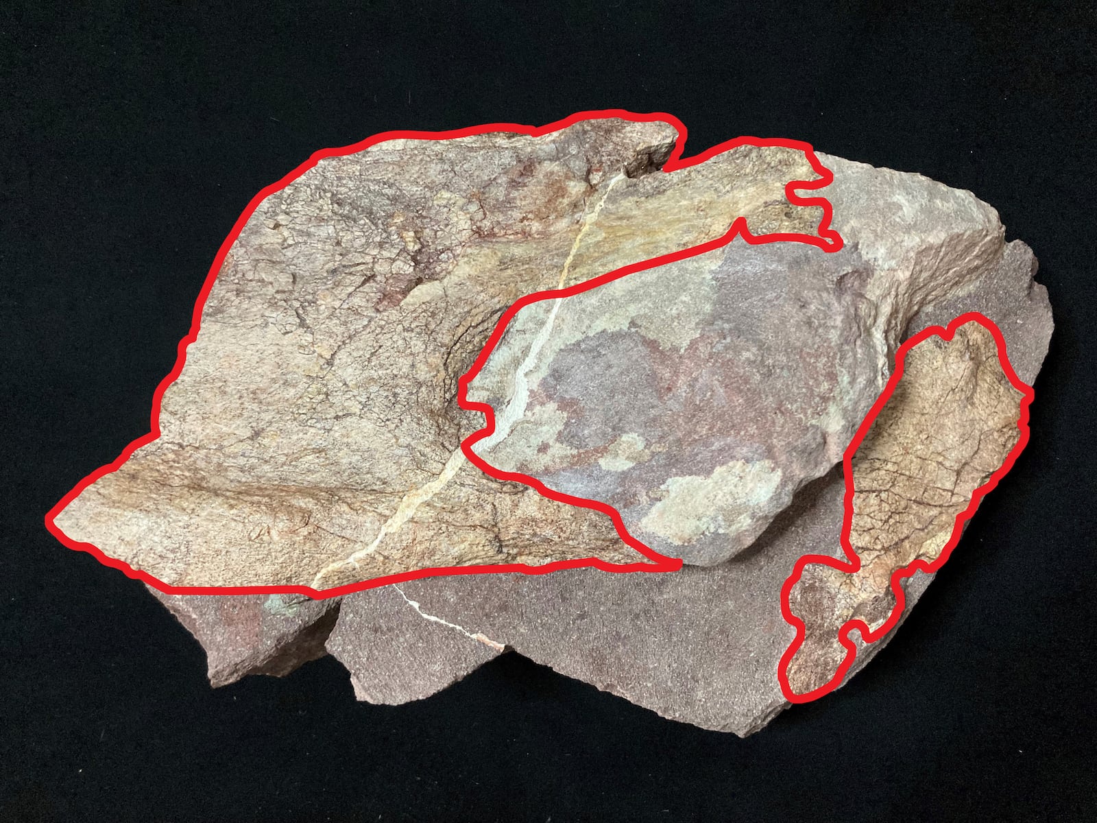 This undated handout photo shows the dinosaur bone fossils discovered at Port Island, with the two fossil specimens outlined in red. (Hong Kong's Antiquities and Monuments Office)