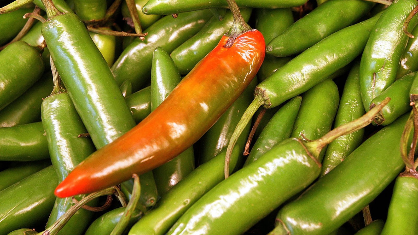 Jalapeno peppers are displayed in the Shop 'N' Save Market March 15, 2006, in Des Plaines, Illinois.