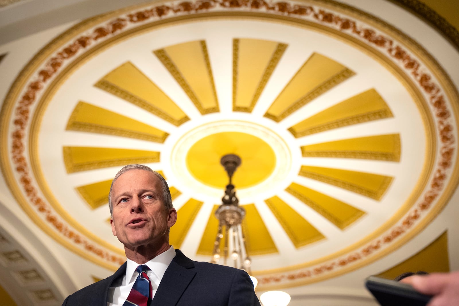 Senate Majority Leader John Thune of S.D., speaks to reporters on Capitol Hill, Tuesday, Jan. 14, 2025, in Washington. (AP Photo/Mark Schiefelbein)