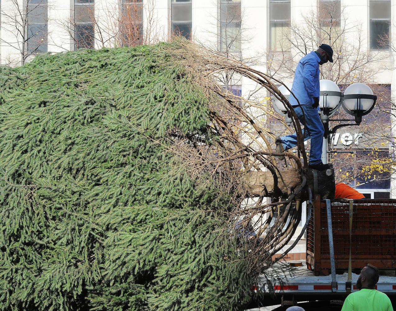 PHOTOS: Tree arrives for Dayton Holiday Festival