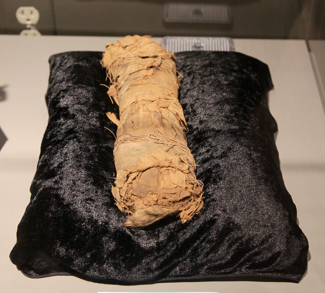 PHOTOS: Nesiur, Dayton’s mummy, is on display in the new Ancient Egypt exhibit at the Boonshoft Museum of Discovery