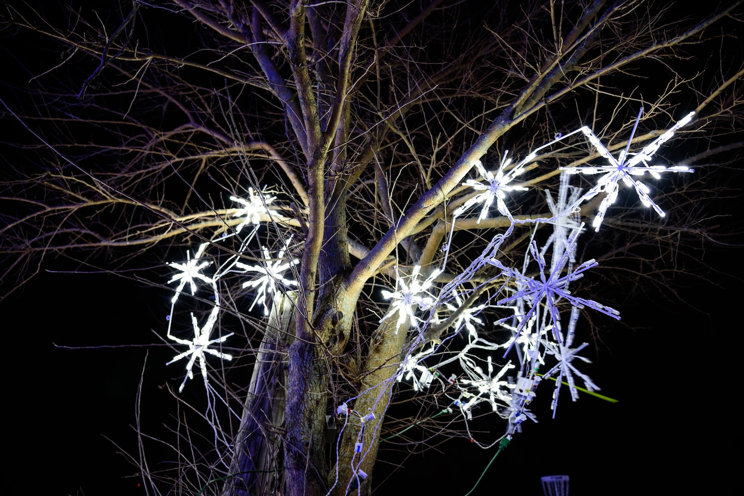 PHOTOS: ParkLights, a new winter wonderland at Caesar Ford Park in Xenia