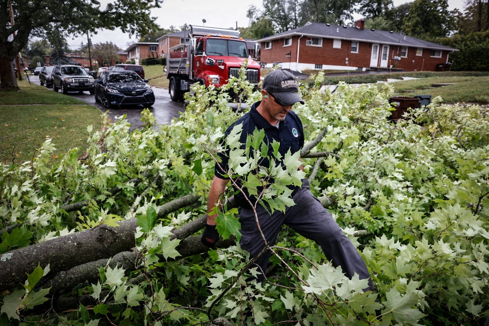 Harrison Twp. employees remove a Sugar Maple from Bennington Drive that fell from high winds.Jim Noelker/Staff