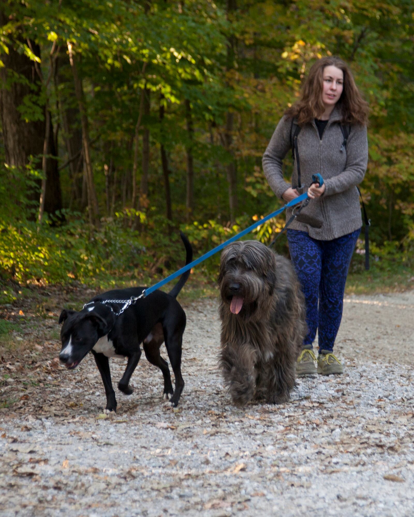 Hiking in Taylorsville MetroPark. FIVE RIVERS METROPARKS