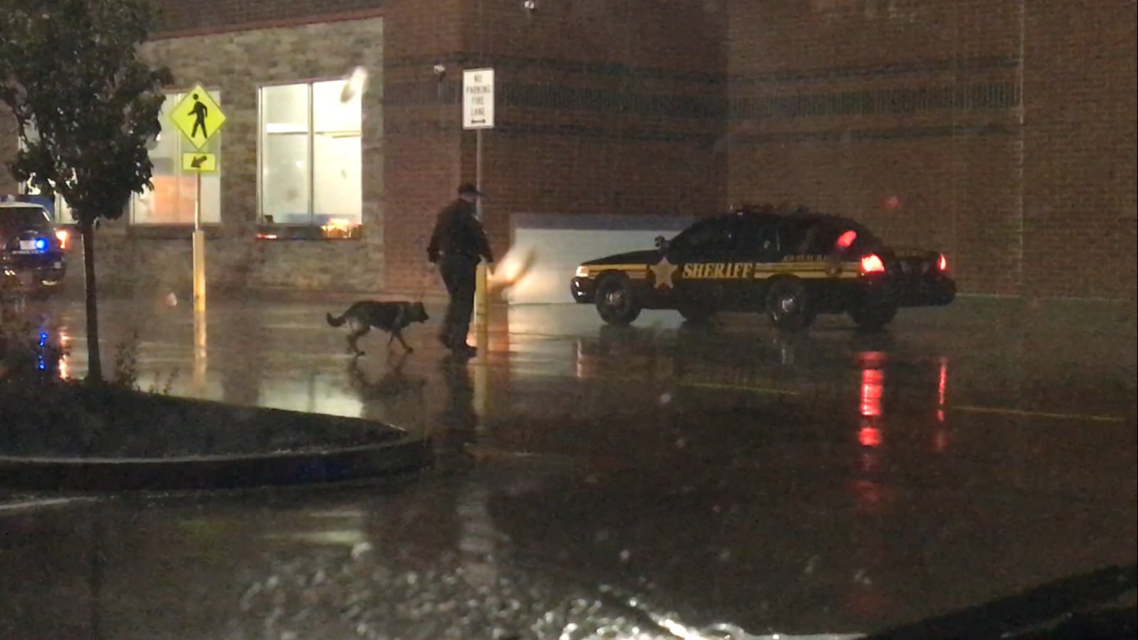 A bomb-sniffing K-9 on the night of Wednesday, Nov. 1, 2017, is headed into the Beavercreek Walmart store on Pentagon Boulevard.