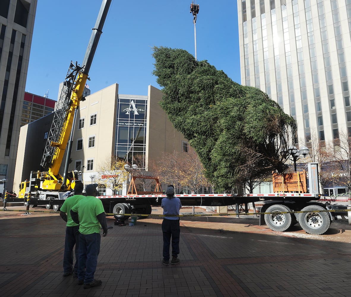 PHOTOS: Tree arrives for Dayton Holiday Festival