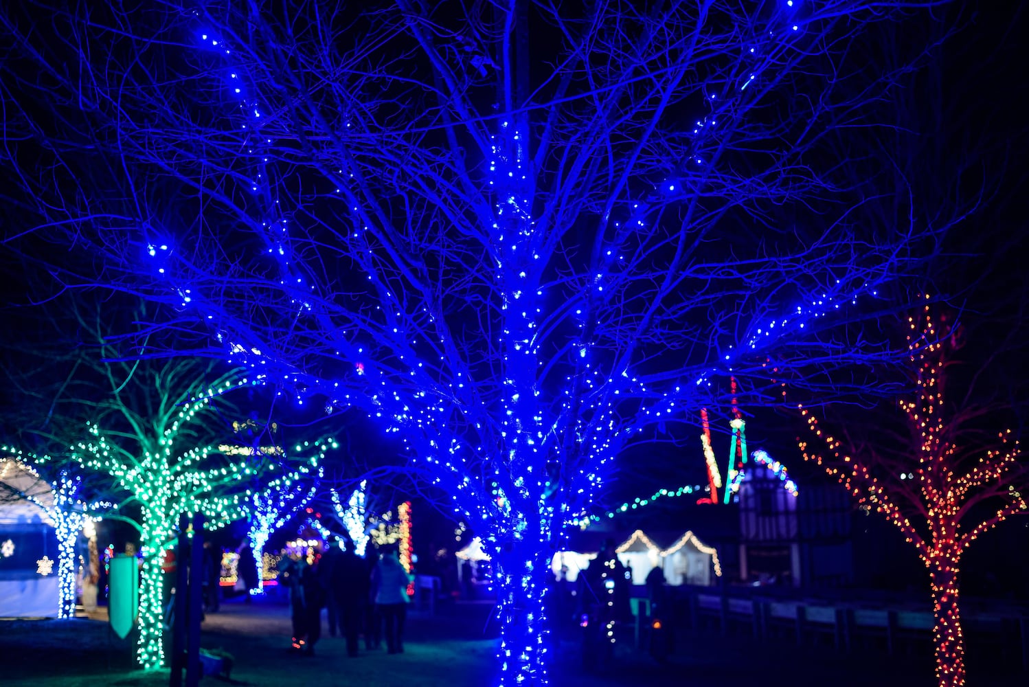 PHOTOS: Yuletide Village: Season of Lights at Renaissance Park Event Center