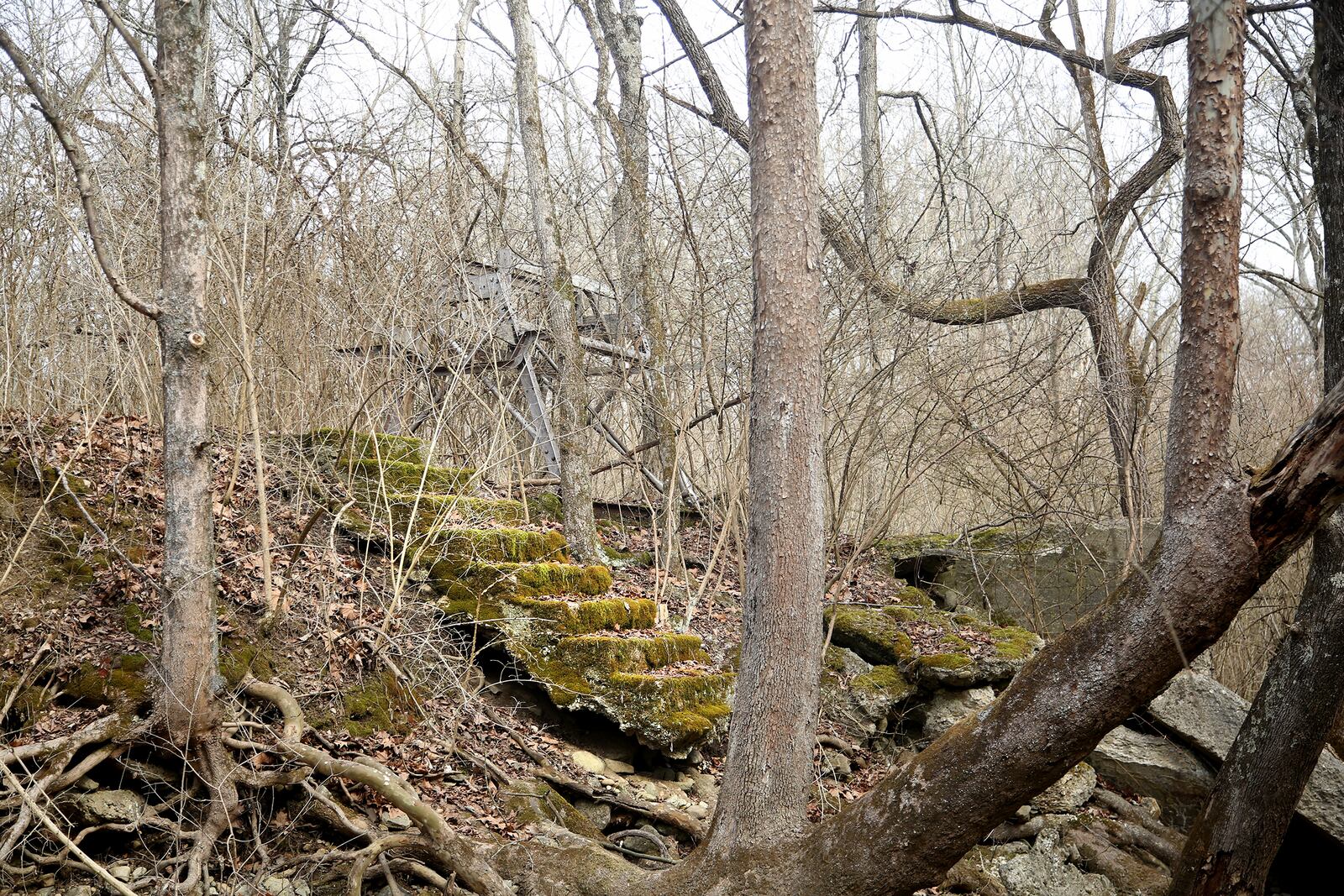 The Argonne Forest Park, a popular spot in the 1930s for Daytonians, had a large swimming pool that was created by damming Possum Creek. The crumbled walls of the pool and moss-covered steps that led up to a diving platform are all that remain today at Possum Creek MetroPark. LISA POWELL / STAFF