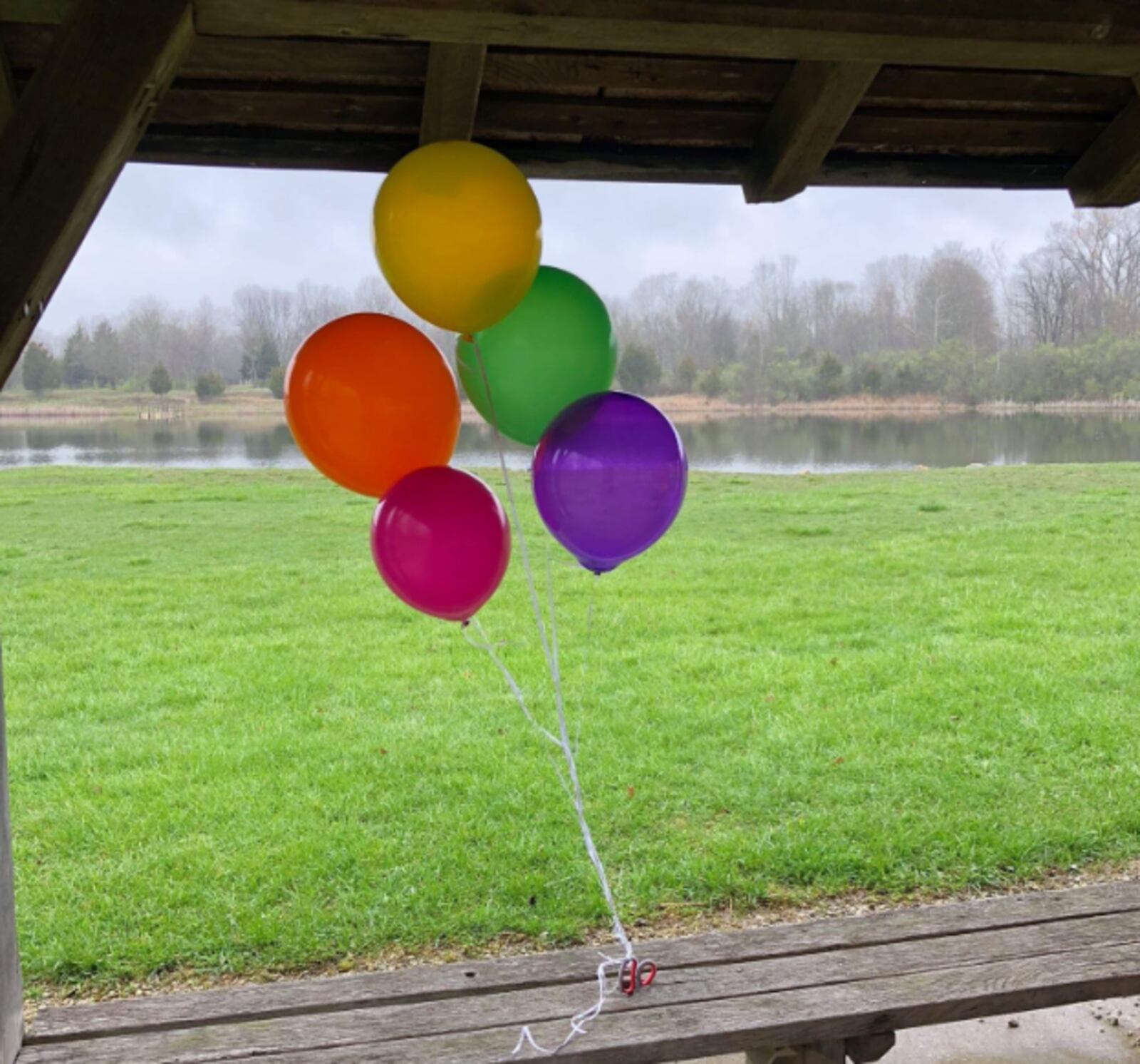 The Trost family celebrates their late son Cooper's birthday each year with a balloon release. CONTRIBUTED