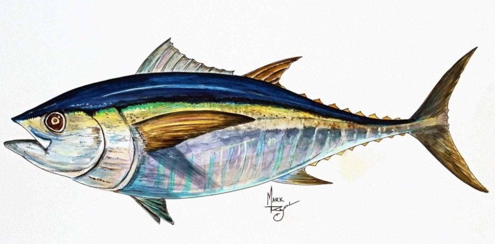 The Team Buckeye Tuna logo – a bigeye tuna with a buckeye for an eye. CONTRIBUTED