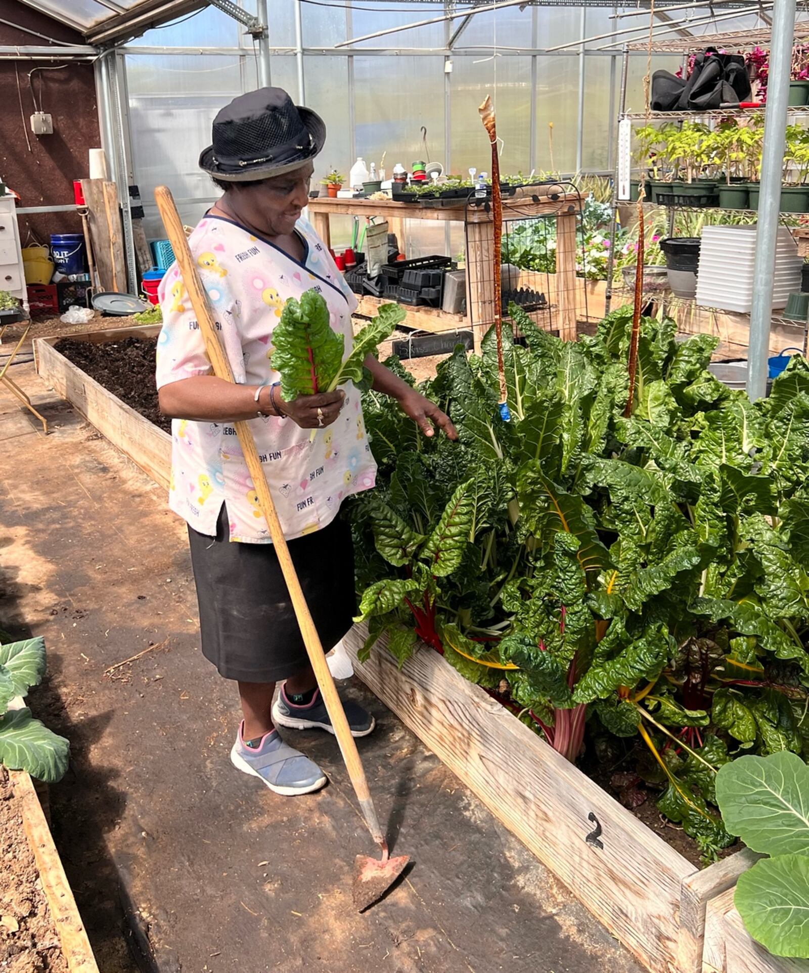 Harriet Rhodes volunteers at Edgemont Solar Garden in Dayton.  (CONTRIBUTED)