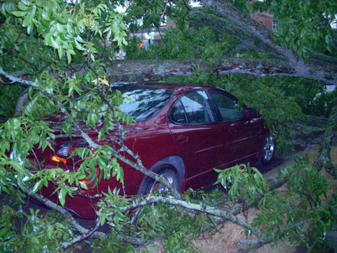 Storm damage