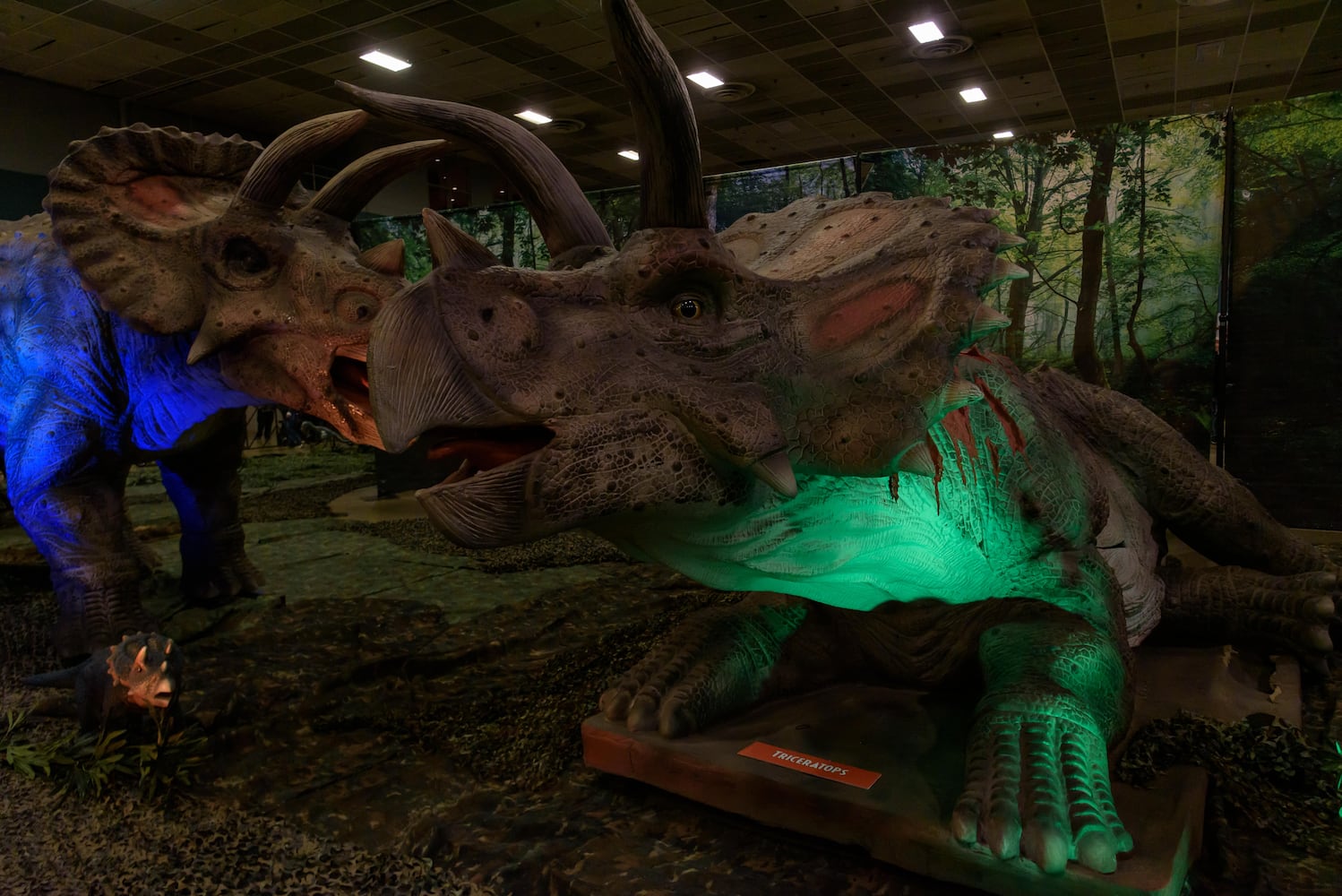 PHOTOS: Did we spot you hanging out with dinosaurs at Jurassic Quest at the Dayton Convention Center?