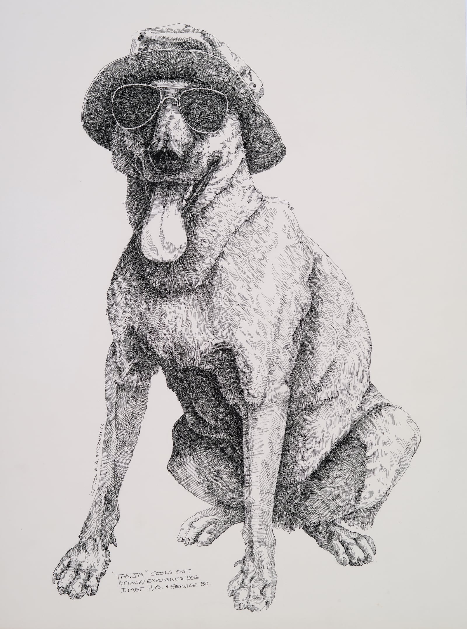 Tanja Cools Out by Lieutenant Colonel Keith A. McConnell, USMCR. Pen and ink on paper. Tanja, a military working dog with Headquarters and Service Battalion, I Marine Expeditionary Force, takes a well-deserved break. CONTRIBUTED