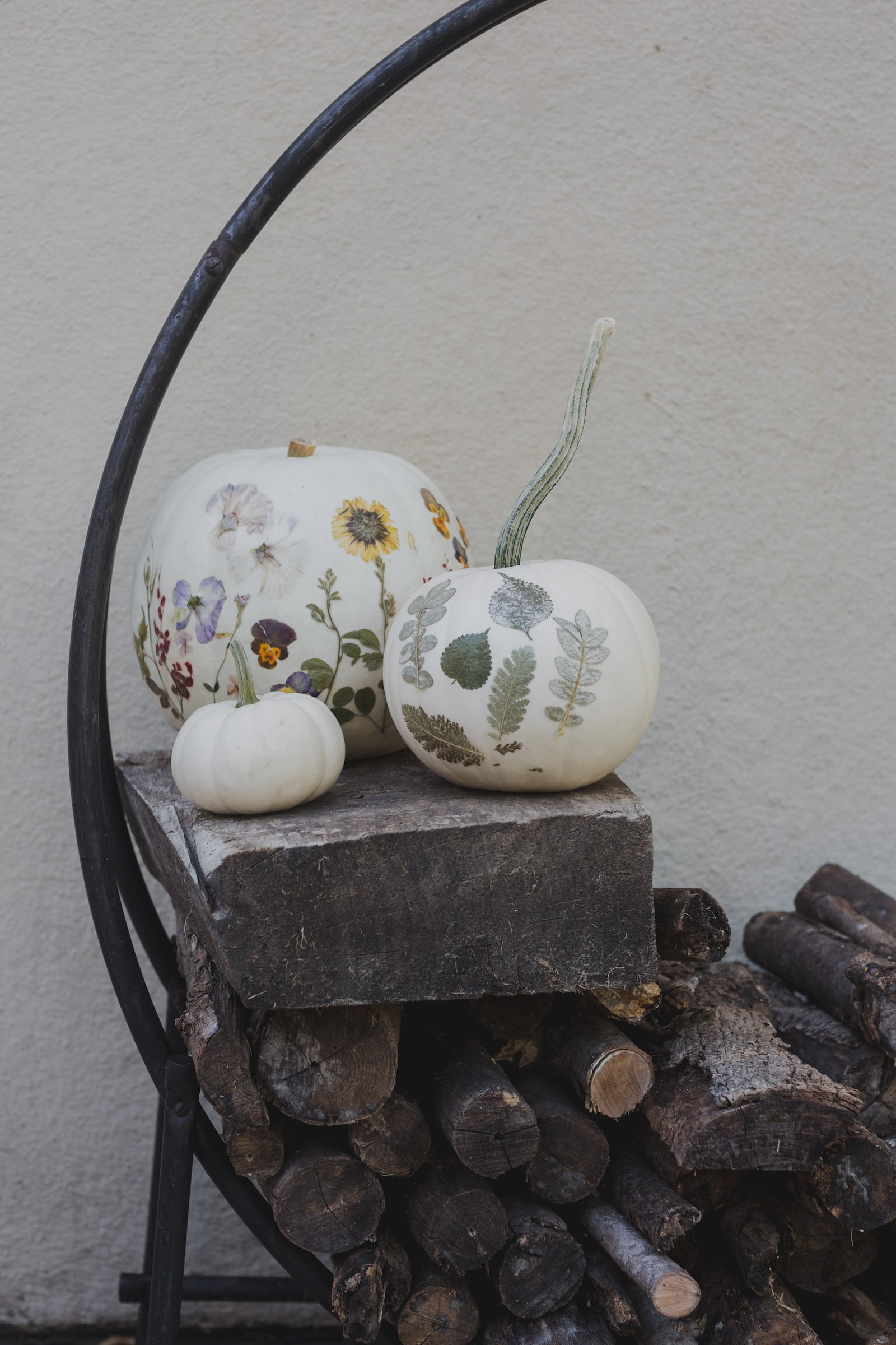 Carly Short unleashes seasonal creativity in her home, using the natural world as inspiration.